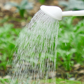 Indoor Gardening Watering Can