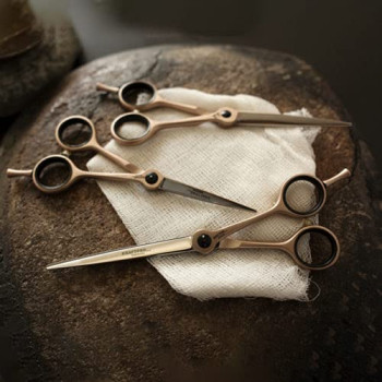 Stainless Steel Chrome Scissors