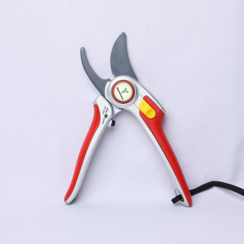 Cutting Pruning Home Shear