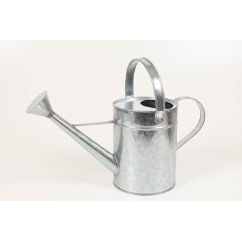 Metal Watering Can