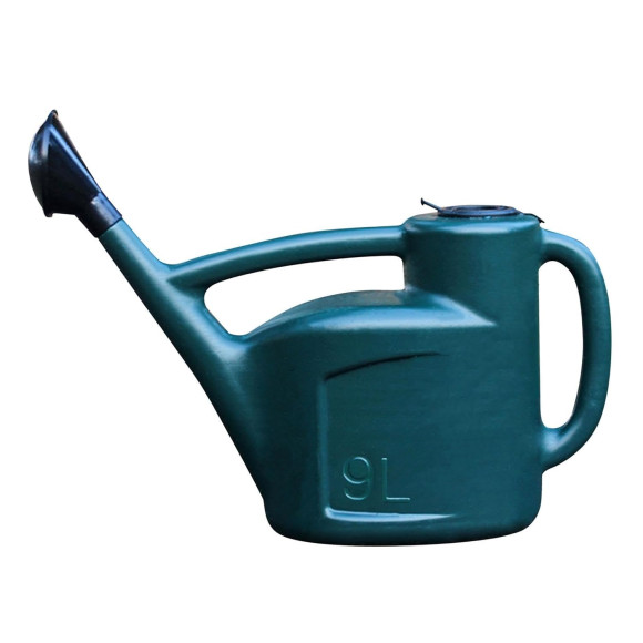 Houseplants Watering Can
