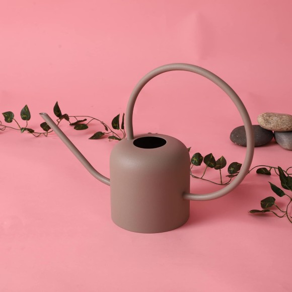 Stainless Steel Plant Watering Can