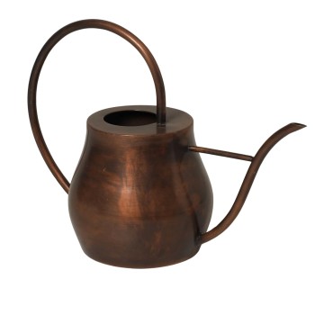 Watering Can Pot For Home Gardening